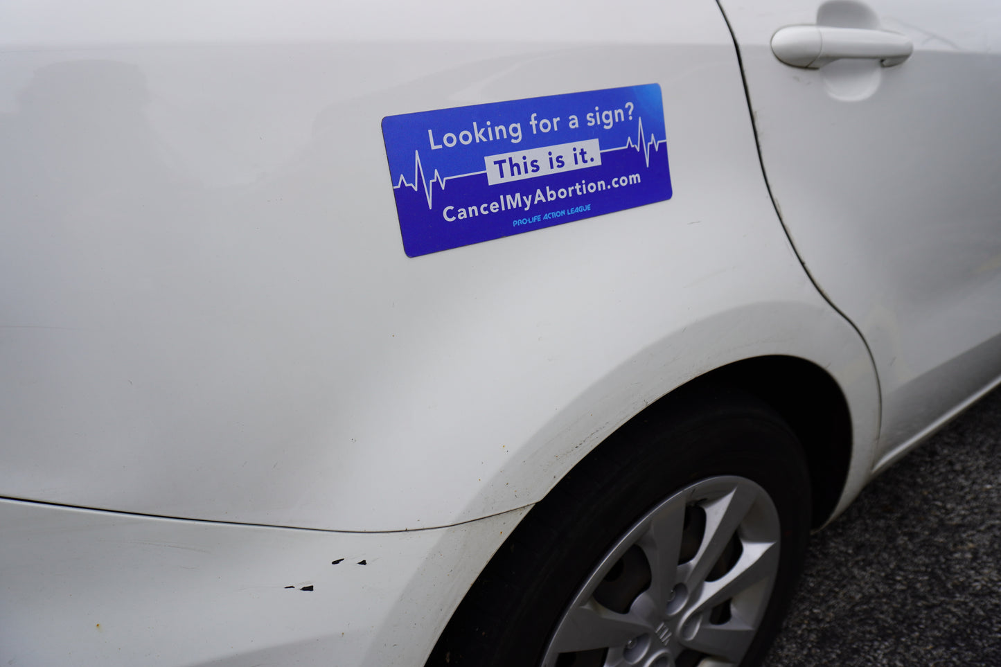 "Looking for a Sign? This Is It." Bumper Magnet (Price includes shipping)