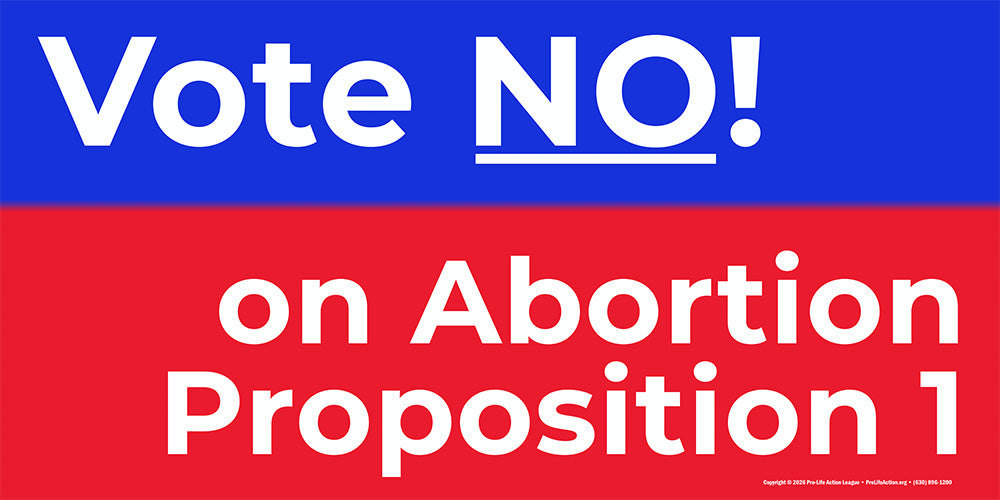 6' x 3' Idaho "Vote NO on Abortion Proposition 1" banner