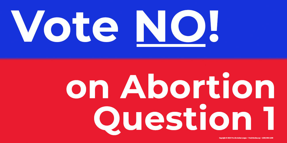 6' x 3' Virginia "Vote NO on Abortion Question 1" banner