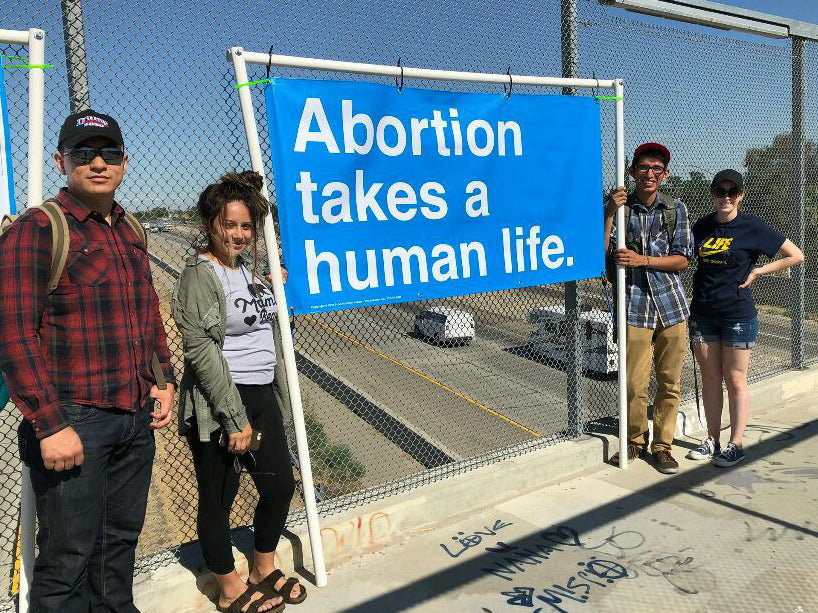 Pro-Life Bridges Banner Kit