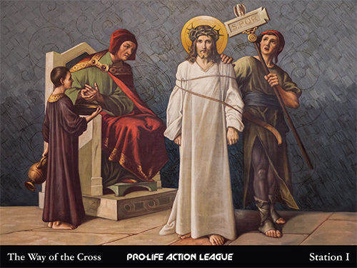 Way of the Cross for Victims of Abortion Sign Set (Price includes shipping)