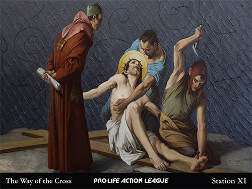 Way of the Cross for Victims of Abortion Sign Set (Price includes shipping)