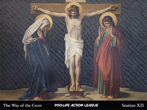 Way of the Cross for Victims of Abortion Sign Set (Price includes shipping)