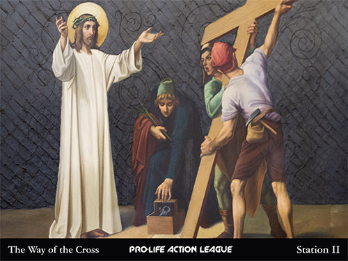 Way of the Cross for Victims of Abortion Sign Set (Price includes shipping)