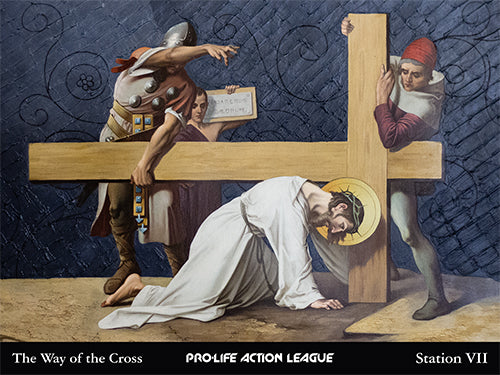 Way of the Cross for Victims of Abortion Sign Set (Price includes shipping)