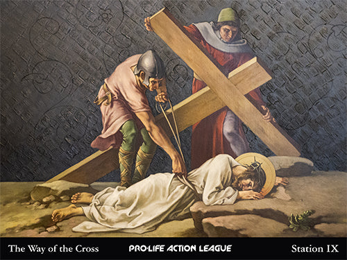 Way of the Cross for Victims of Abortion Sign Set (Price includes shipping)