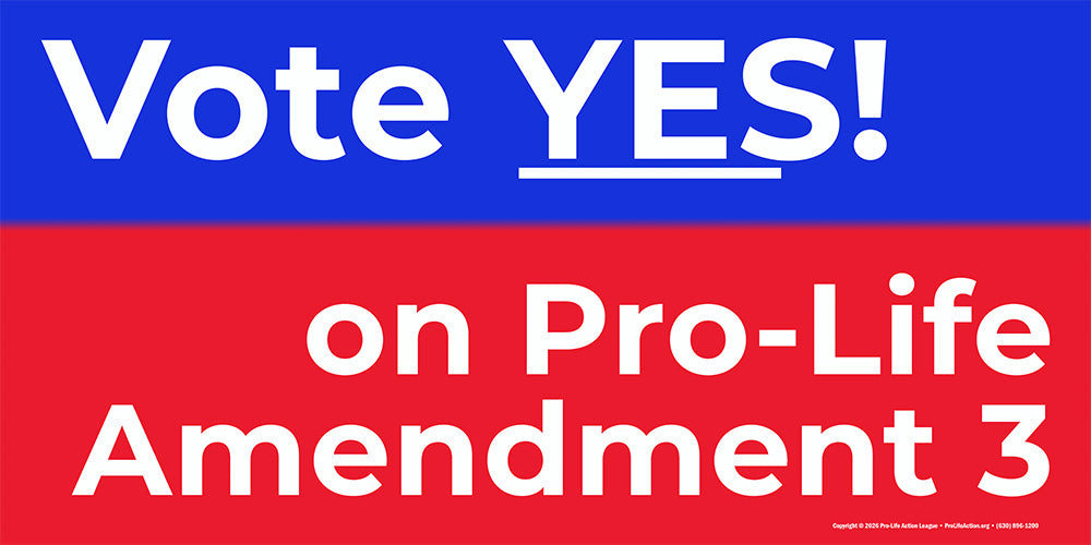 6' x 3' Missouri "Vote YES on Pro-Life Amendment 3" banner