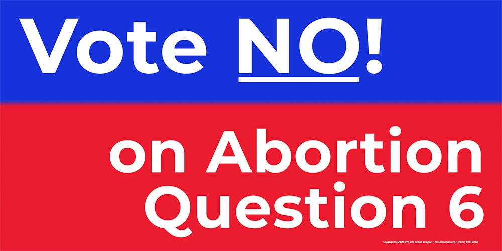 6' x 3' Nevada "Vote NO on Abortion Question 6" banner