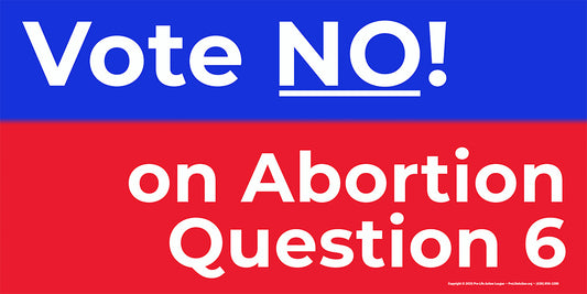 6' x 3' Nevada "Vote NO on Abortion Question 6" banner