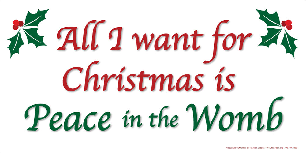 6' x 3' "All I Want for Christmas is Peace in the Womb" Banner