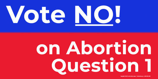 6' x 3' Virginia "Vote NO on Abortion Question 1" banner
