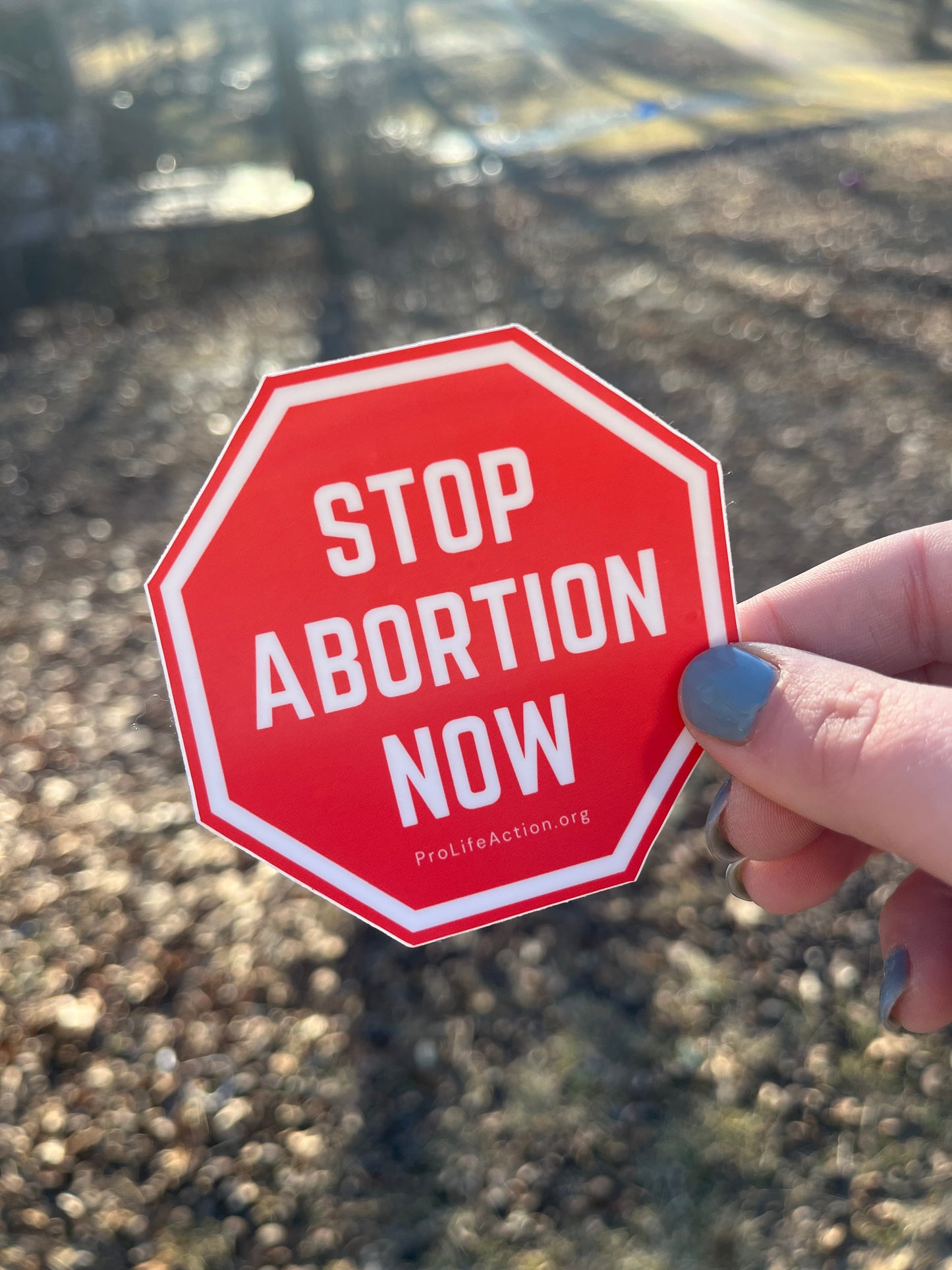 "Stop Abortion Now" Sticker