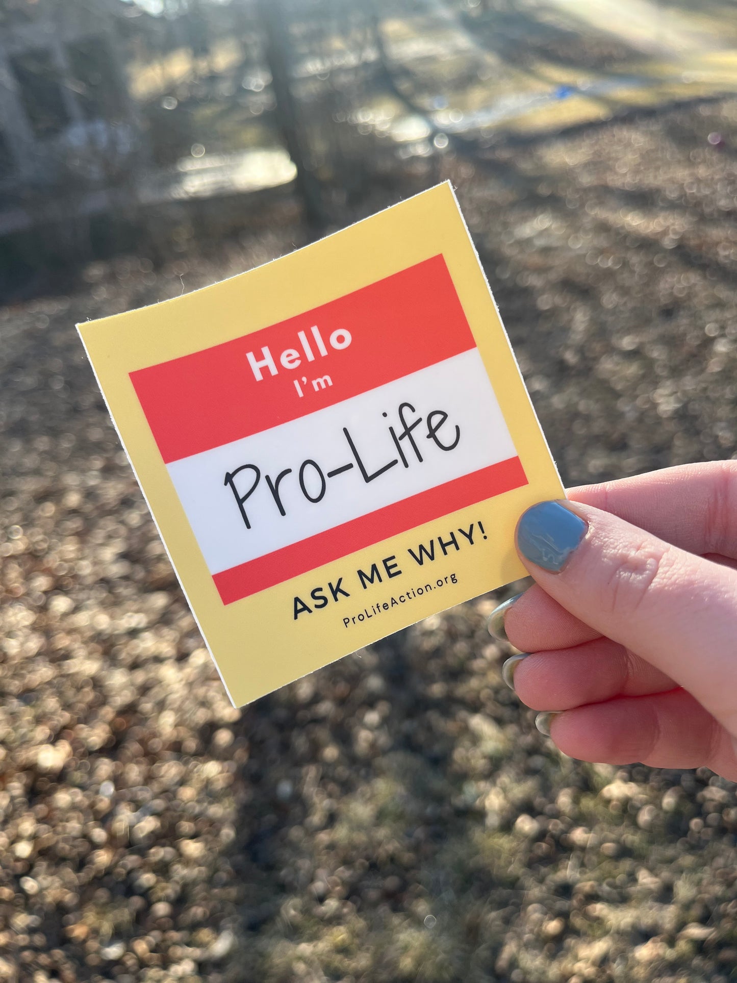 "I'm Pro-Life Ask Me Why" Sticker