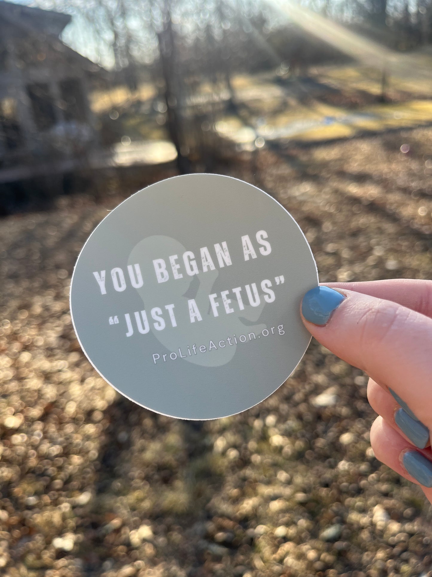 You Began as "Just a Fetus" Sticker