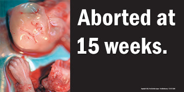 6' x 3' Abortion Victim Photo Banner Set