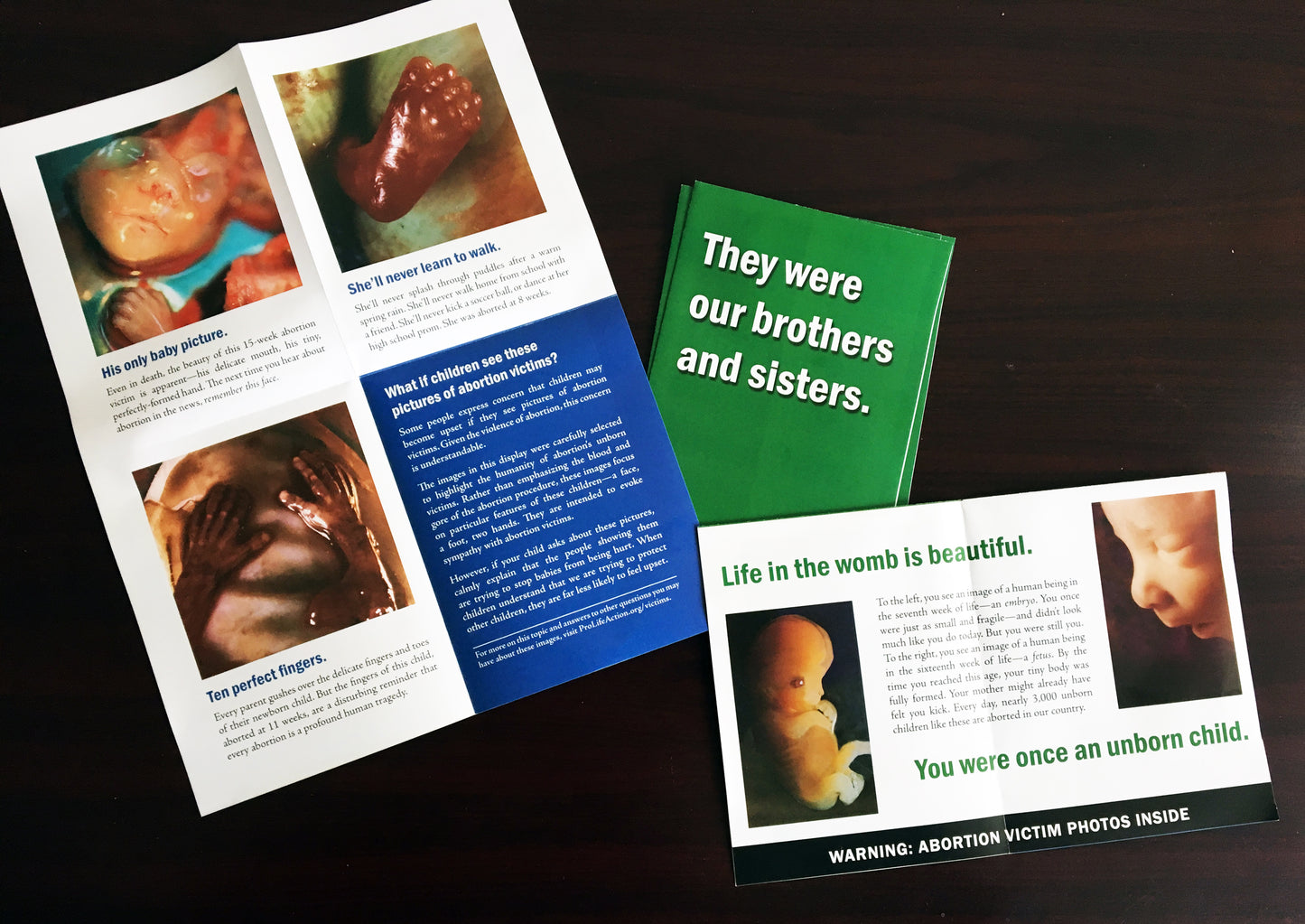 "They Were Our Brothers and Sisters" Pamphlet (100 count)
