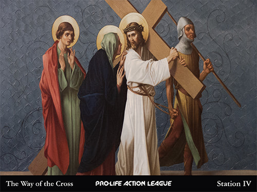Way of the Cross for Victims of Abortion Sign Set (Price includes shipping)
