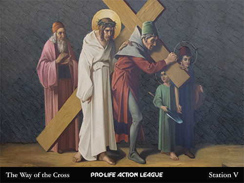 Way of the Cross for Victims of Abortion Sign Set (Price includes shipping)